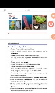spongin.□23General Zoology ZOOL 105General Characters of P... | Filo