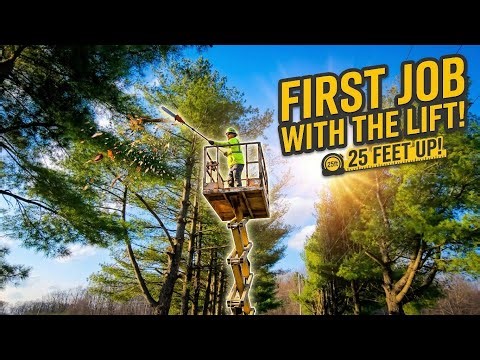 Dropping a Dangerous Tree Between a Fence and Power line ⚠️ (Final Result at the End)