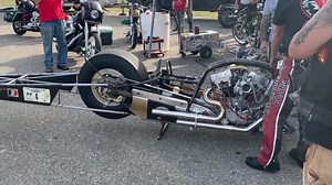 Bad ass | Dirty Bird Concepts