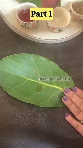 Arka: The Powerful Ayurvedic Plant #shorts #health