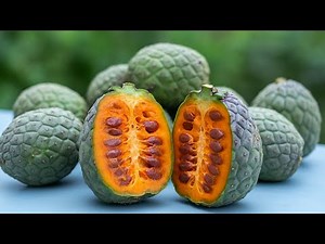 Unreal Tropical Fruits From Around the World – You’ve Never Seen These!
