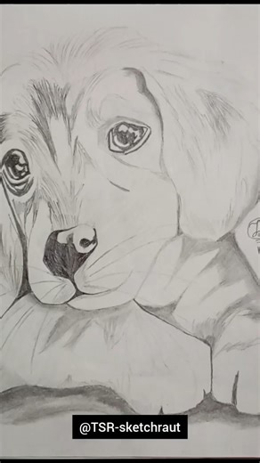 Realistic Cute Puppy Portrait | Pencil Sketch Art #cute #puppy #viral #dog