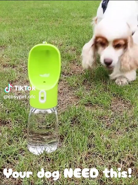 Every dog owner needs this 🐶 A portable dog water bottle with built-in bowl so your dog can drink anywhere — walks, travel, hiking, or the beach. 💧 #dogsoftiktok #pet #dog #doglovers #fyp