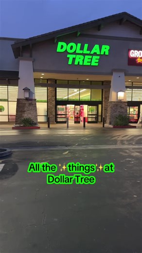 Discover the Best Deals at Dollar Tree: Review and Finds