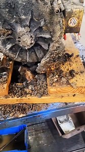 26K views · 280 reactions | 113_#tesla #horsepower #mechanic #maintenance #electrician #repair #industrial #torque #motor.mp4 #machine #engineering #manufacturing #technology #machinery #equipment #industrial #cnc #mechanical #industry #machines #tools #metal #engineer #construction #machineshop #design #terminator #machinetools #art #machining #mechanicalengineering #metalworking #robot #heavyequipment #love #photography #t #instagram #mechaniclife | Holding | Facebook