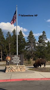 Just outside Cody Yellowstone through the East Gate Entrance is Yellowstone National Park. Drive to the Visitor Education Center, an area filled with geysers, bison, hot springs and the most famous sight of all, Old Faithful. 🌲 Stay in Cody Yellowstone by night for the Wild West experience and explore the world wonders of Yellowstone National Park by day: https://bit.ly/3zNHztn 📸 [IG]: 'lyn.onthego' | Cody Yellowstone
