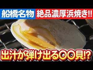 【船橋三番瀬の新スター】漁業協同組合が紹介するホンビノス貝の美味しい食べ方 日本財団 海と日本PROJECT in 千葉県 2023 #014