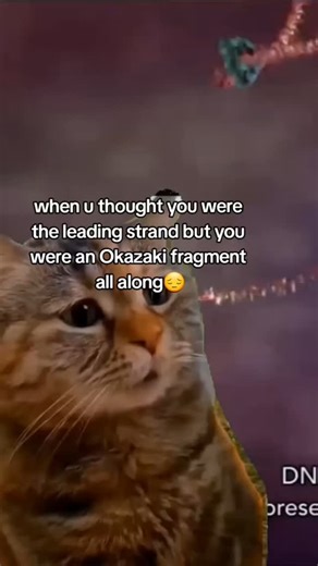 Dr. Xanthine on Instagram: "Someday, our memories will be mere fragments, ligated by emptiness and desolation. original animation by wehimovies, review by sun, ma, tsai, abeywardana, shen & zheng 2023, Okazaki fragment maturation: DNA flap dynamics for cell proliferation and survival "DNA replication is a semi-discontinuous process. Leading-strand DNA synthesis, which is mediated by DNA polymerase ε (Pol ε), is continuous, whereas lagging-strand DNA synthesis is discontinuous. During lagging-str