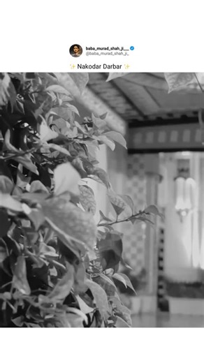 Baba_Murad_Shah_❤️❤️ on Instagram: "🌹🌹ਵੀਰਵਾਰ ਦੀਆਂ ਮੁਬਾਰਕਾਂ🌹🌹 . . . .@baba_murad_shah_ji___ #baba_murad_shah_ji___ . . #sailaddishah #babaladdishahji #786 #jaisaiji😘"