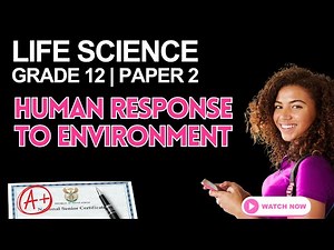 Grade 12 Life Sciences: Human Response to the Environment — Exam Essentials