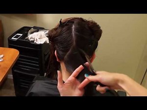 Haircut tutorial from basics to advanced - Hair 101