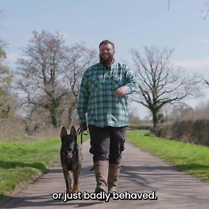 What if you could learn how to train your dog, stop bad behaviour and have your perfect canine companion? If you have a poorly behaved dog at home, either through lack of training or things have just gone wrong, then you need my free Canine Companion Clinic! It will teach you how to train your dog... ...Including exactly what you need to do and how to do it. Plus the 3 step methodology to stop any unwanted behaviour! Start training your dog right now by signing up below! | Will Atherton