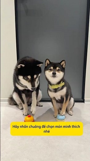 Thử thách tìm món mình thích #haihuoc #giaitri #short #genz #funny