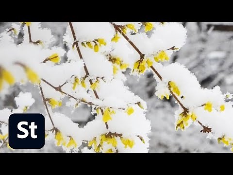 2021 PANTONE Color of the Year | Adobe Creative Cloud