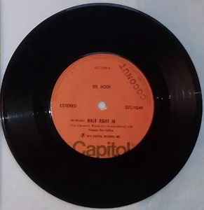 Dr. Hook - Walk Right In