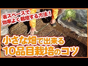 小さな畑で大丈夫！家庭菜園や農園の隅で１０品目以上を効率良く１畝で栽培するポイントをご紹介！育苗・連作障害・輪作等の考え方を解説【農園ライフ】