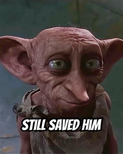 Dobby Didn’t Care What Harry Said #harrypotter