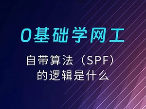 自带算法（SPF)的逻辑是什么