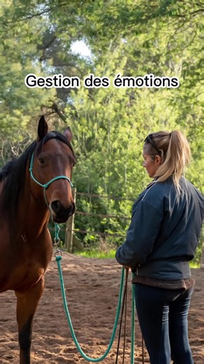 Gestion des émotions chez le cheval 🐎 - Éducation et équitation éthologique