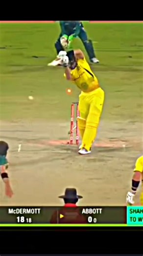 Pakistan team clean bolds 😘🥰😍😍🥰😍#cricketlovers #cricket #cricketlovers #cricket