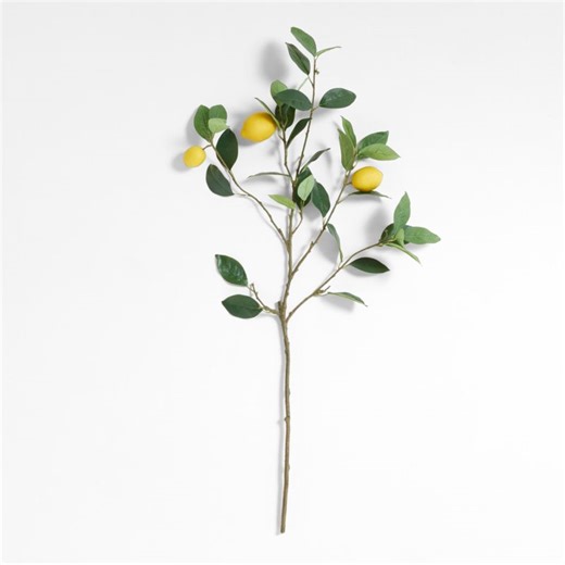 Faux Lemon Stem   Reviews | Crate & Barrel