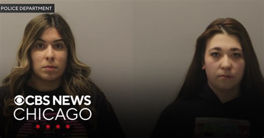 2 Des Plaines daycare employees charged with dragging, hitting children