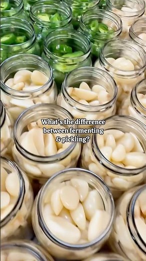 What’s the difference between fermenting and pickling? #pickles #cooking