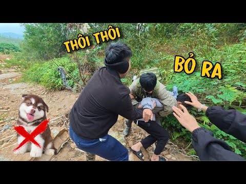 Team Duong KC Clashes While Searching for a Lost Alaskan Bear in the Forest.