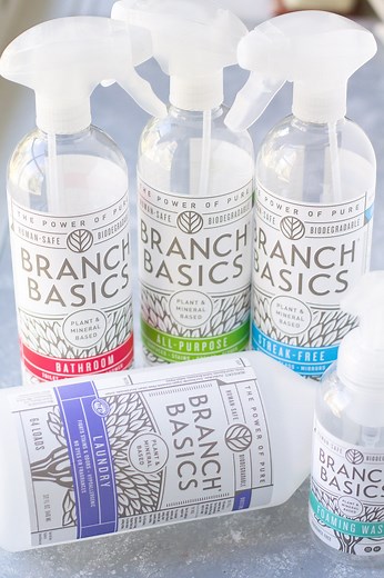 Branch Basics Review