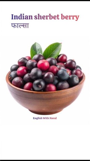 50 Fruits Name | English Speaking Practice | English With Naval
