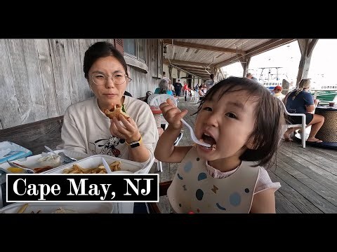 Whale Watching Adventure & Culinary Delights in Cape May, NJ!