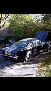 87K views · 4K reactions | Just a 1966 Shelby GT350 Hertz hanging out in the front yard. | The Auto Archaeologist | Facebook