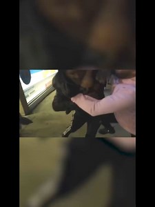 211K views · 3K reactions | Muhammad Ali vs Joe Bugner #boxing #miketyson | Boxing USA | Facebook