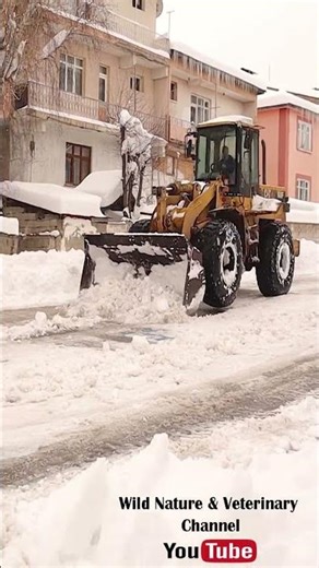 Erzurum Turkey Snow Cleanup | Front-End Loader Clearing Heavy Snow After Winter Storm Fast