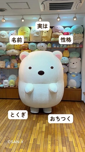 しろくまのこと、どれくらい知ってる？ #しろくま #すみっコぐらし #faq #自己紹介 #サンエックス #sanx #sumikkogurashi