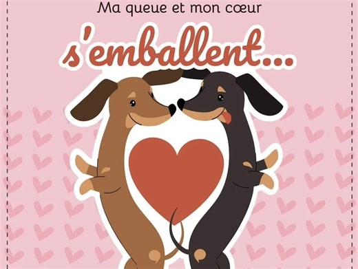 Double entendre or mistranslation? Canada's language watchdog apologizes for Valentine's post