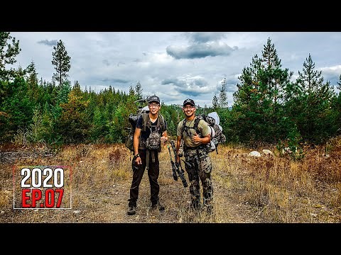 HEAVY PACKS - Washington Archery Elk Hunt (Spruce Grouse Catch & Cook) | 2020 Hunting Season EP.07