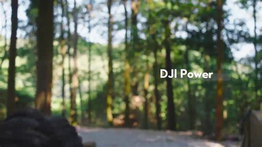 DJI Power 系列产品常见问题