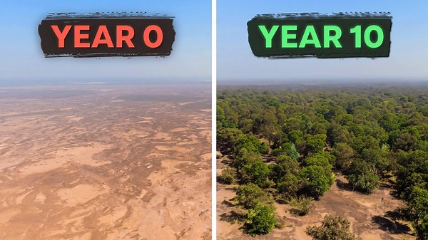 How Africa Is Fighting the Sahara Desert