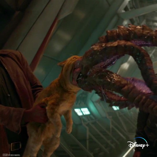 6.1K views · 112 reactions | Mignon comme un flerken, comme on dit. | Marvel | Facebook