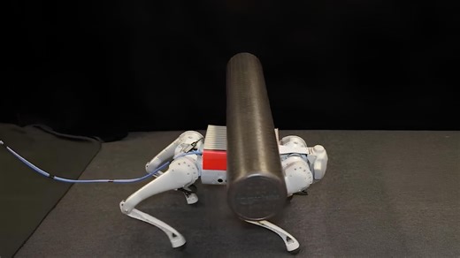 US: Robot dog balances rolling load on back with tactile sensing tech