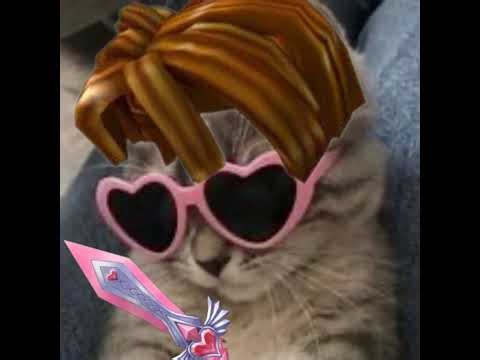 TRADING DIVINE CERB ONLY USING TRADE MACHINE