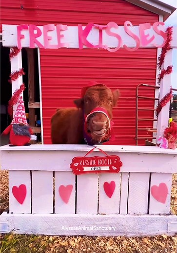 💋Kisses for YOU only! Happy Valentine’s Day! #willyoubemyvalentine 👉👈🥺 #valentinesday #animallover #cuteanimals #animals