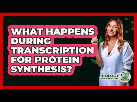 What Happens During Transcription For Protein Synthesis? - Biology For Everyone