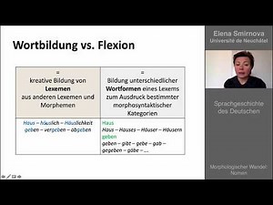 Morphologischer Wandel: Nomen