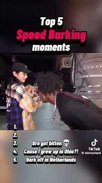 Top 5 Speed Barking Moments