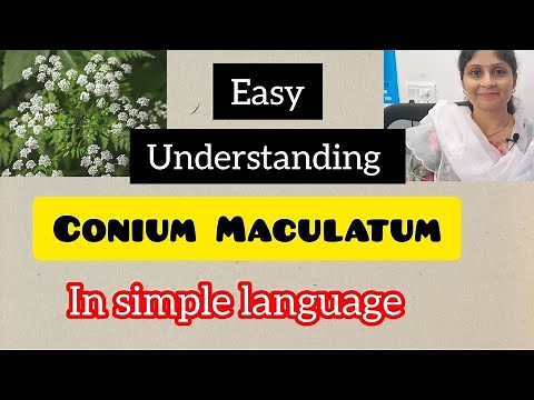 Conium Maculatum | Homeopathy | Easy understanding | Keynotes | Personality | Main Rubrics.