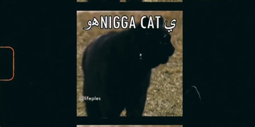 nigga～cat～♡（三分钟纯享版）
