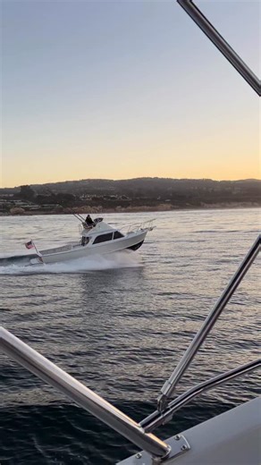 How is it possible something 60 years old can look this good? Probably the most iconic Sportfishing boat in history. Over 2000 were made with many still catching fish today all over the world. Bertram 31. The legendary Bertram 31. | Bad Company Fishing Adventures