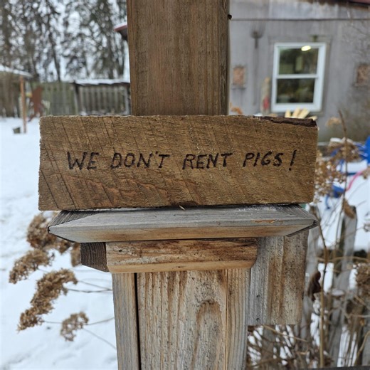 We Don't Rent Pigs Sign - Etsy Australia